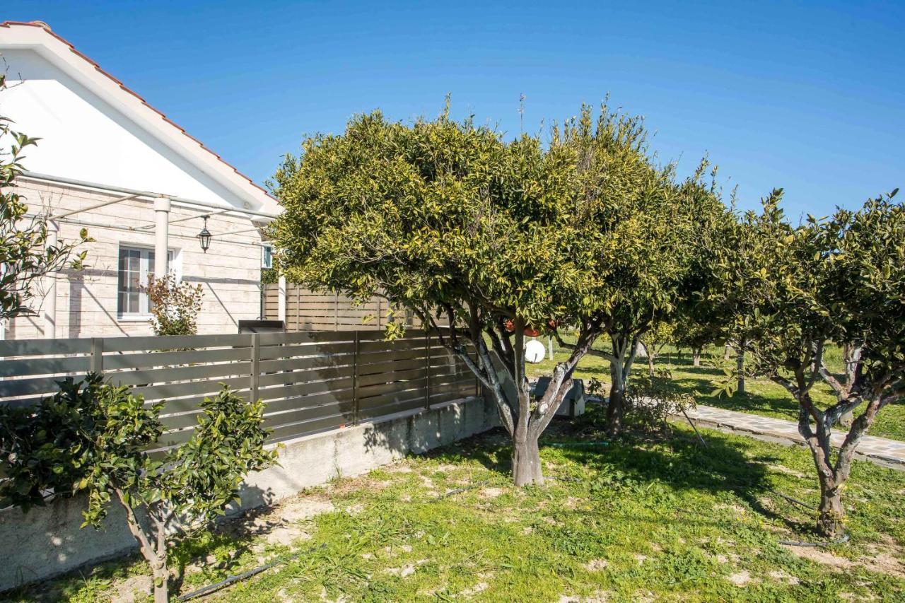 Faliraki Citrus Garden Экстерьер фото